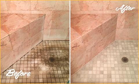 Our Professional Tile and Grout Cleaners in Orlando Performed an  Outstanding Restoration Giving This Shower a Revamped New Look