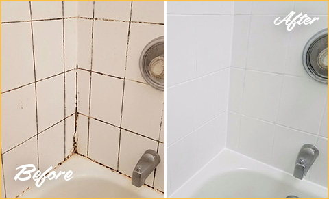 Our Professional Tile and Grout Cleaners in Orlando Performed an  Outstanding Restoration Giving This Shower a Revamped New Look